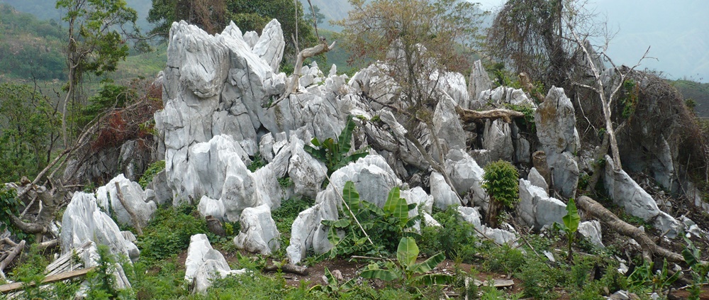 Ziphu limestone deposit, Phek dist5