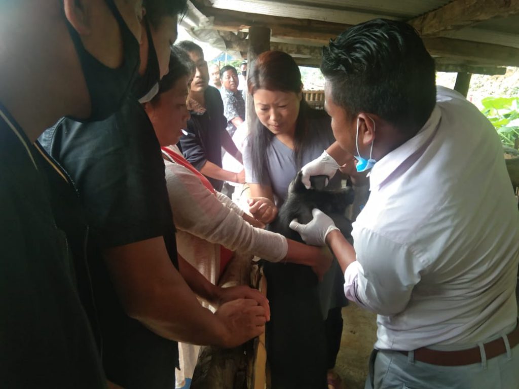 vacination of pig in Zunheboto
